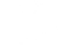 Visionary Holiday Lighting
