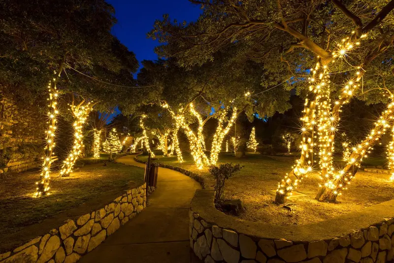 Tree trunks along a path wrapped in warm white lights